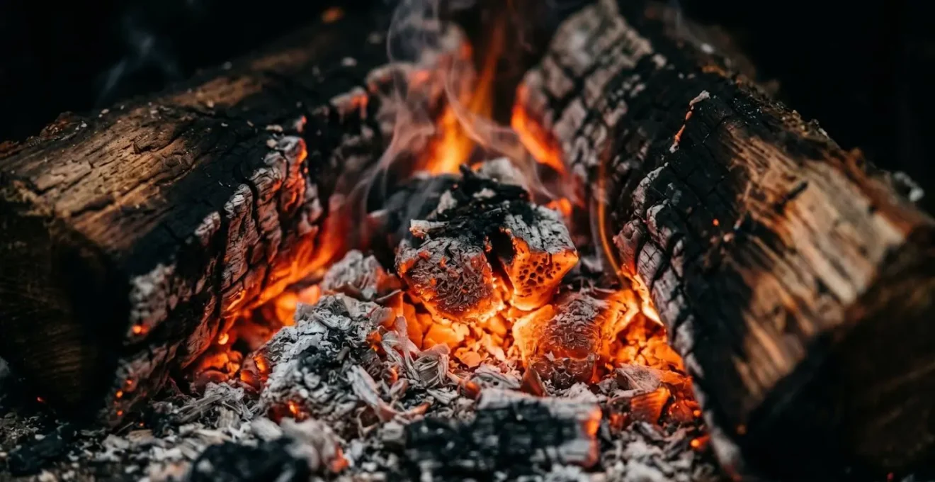 Bûches de bois en combustion, braises incandescentes, chaleur rayonnante.